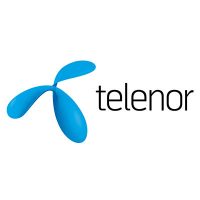 Telenor - VOCATUS Preisstrategie, Vertriebsoptimierung, Behavioral Economics