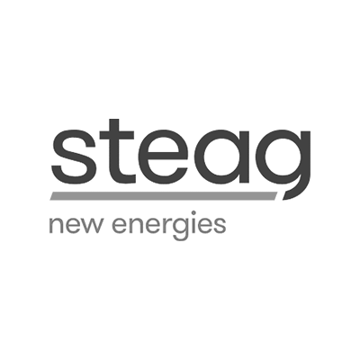 Steag New Energies Logo